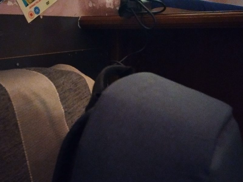 Pickwick's International Bar